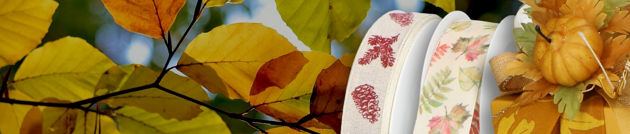 Herfstverpakkingen en herfstdecoraties