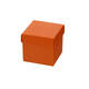 /static/uploads/pictures/mini/CBB250ORA_1.jpg