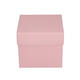 /static/uploads/pictures/mini/CBB500PASTPRS_2.jpg