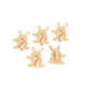 /static/uploads/pictures/mini/DEC24001_1.jpg