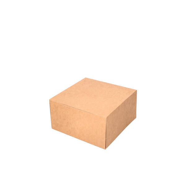 Gebaksdozen Patisserie kraft kleurig 150x150x80 mm