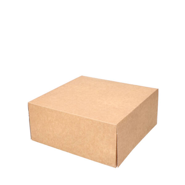 Gebaksdozen patisserie kraft kleurig 230x230x100 mm