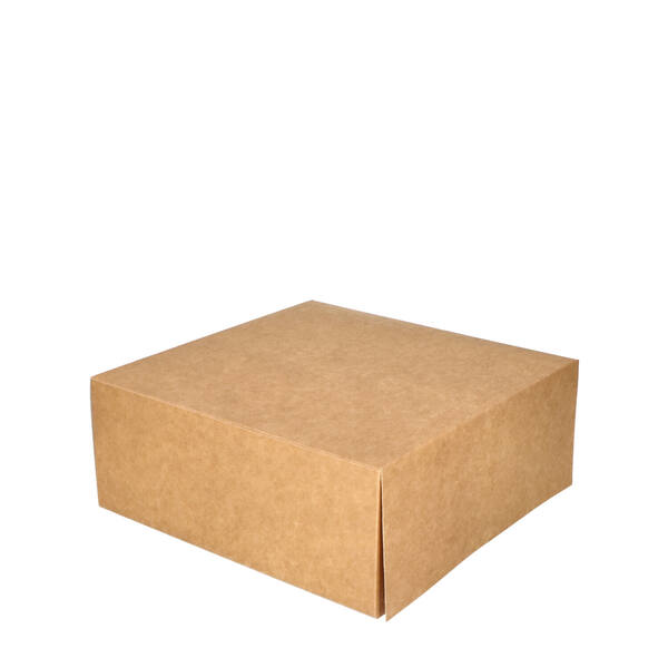 Gebaksdozen patisserie kraft kleurig 250x250x100 mm