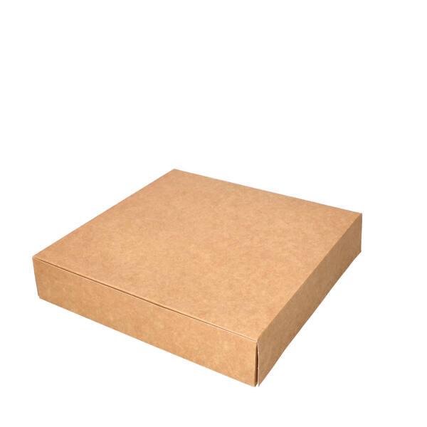 Gebaksdozen patisserie kraft kleurig 250x250x50 mm