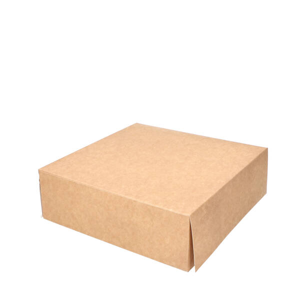 Gebaksdozen patisserie kraft kleurig 250x250x80 mm