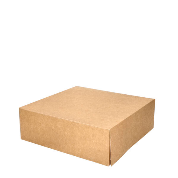 Gebaksdozen Patisserie kraft kleurig 300x300x100 mm