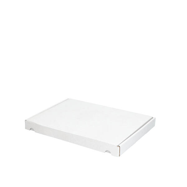 Verzenddozen brievenbus 299x213x27 mm