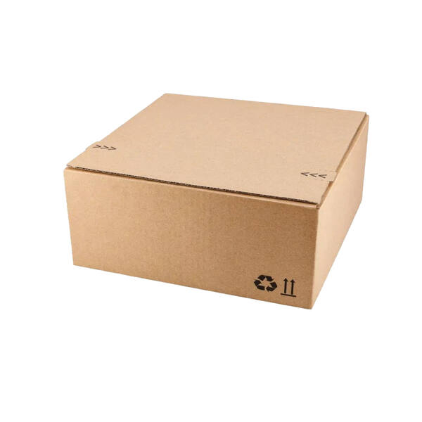 Verzendbox 3 230x160x80mm EG bruin autolock + plakstrip FSC
