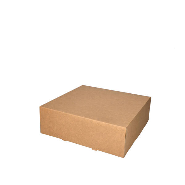 Gebaksdozen kraft 300x300x100 mm 6P neutraal