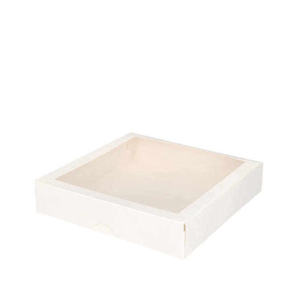Vensterdoos Topbox 6P (clic clac) BV 250x250x50mm blanco met lak