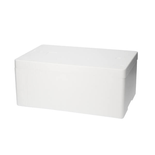Tempex 0102002 10KG box - 480x300x180 mm