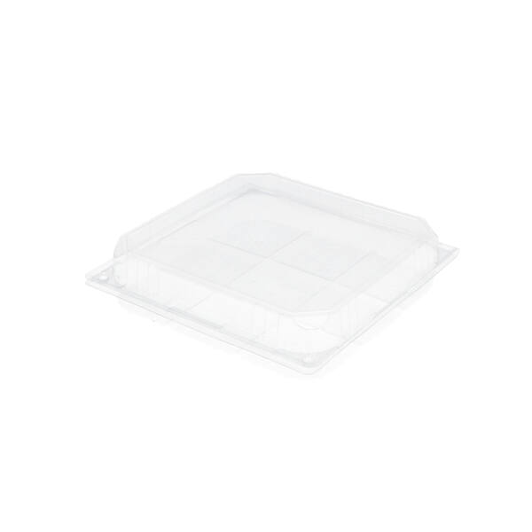 Blisters bodem en deksel RPET 215x215x50 mm transparant