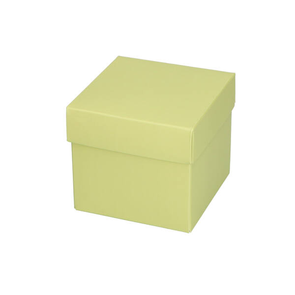 CubeBox® pastel groen met deksel, goudkarton bodem (diverse maten)