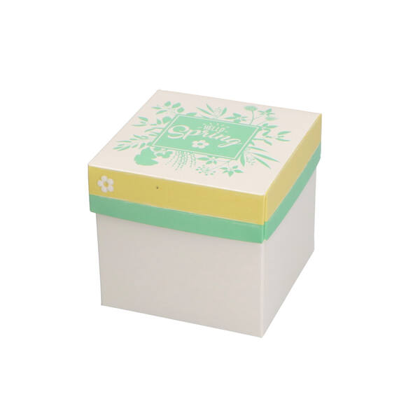 Deksel 'Hello Spring dessin HS1' voor CBB250TTZD of CBB250WTB 80x80x20 mm