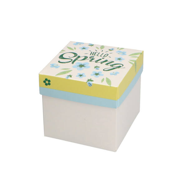 Deksel 'Hello Spring dessin HS2' voor CBB250TTZD of CBB250WTB 80x80x20 mm