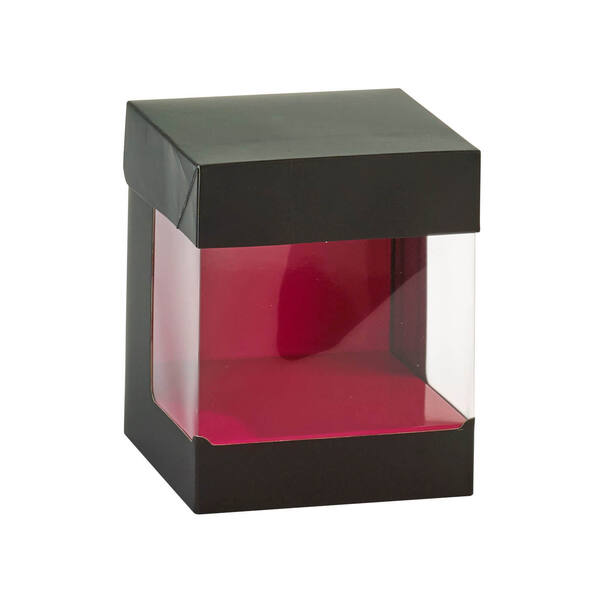Display cube zwart 240x240x250 mm