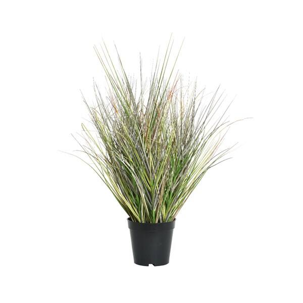 Siergras plastic in pot groen 65 cm/800537