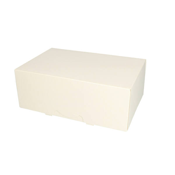 Gebaksdozen 240x160x90 mm 6P/4P Neutraal