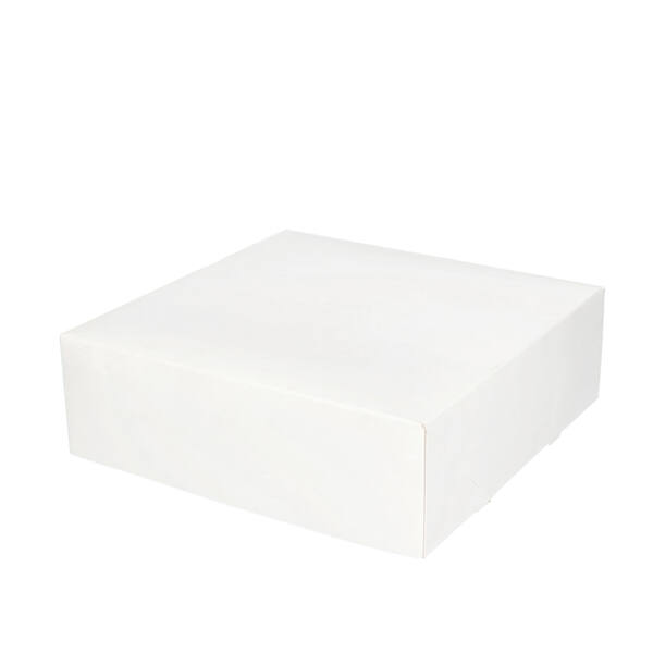 Gebaksdozen 250x250x80 mm 6P met sleepvoetjes