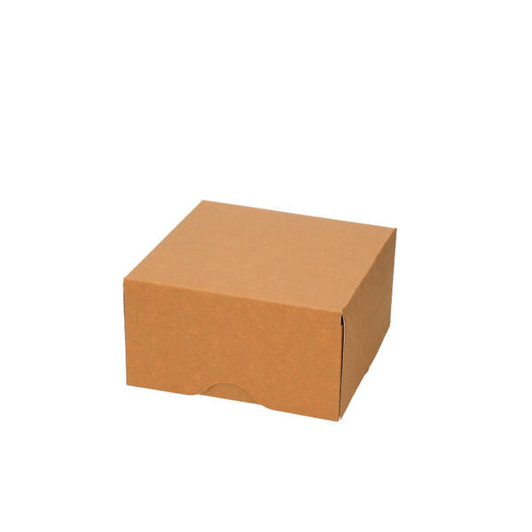 Gebaksdozen bruin kraft 150x150x80 mm 6P