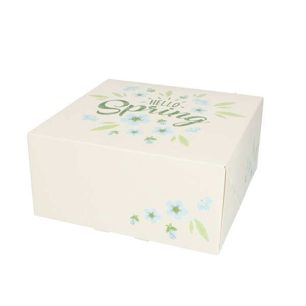 Gebaksdozen 'Hello Spring dessin HS2' blauw/groen 190x190x90 mm