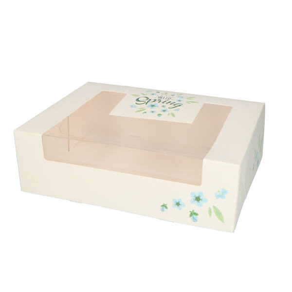 Gebaksdozen met venster (DLV) 'Hello Spring dessin HS2' blauw/groen 260x200x80 mm