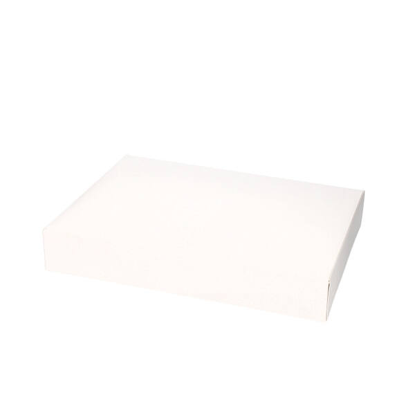 Gebaksdozen 380x285x60 mm 6P/4P met losse voorklep