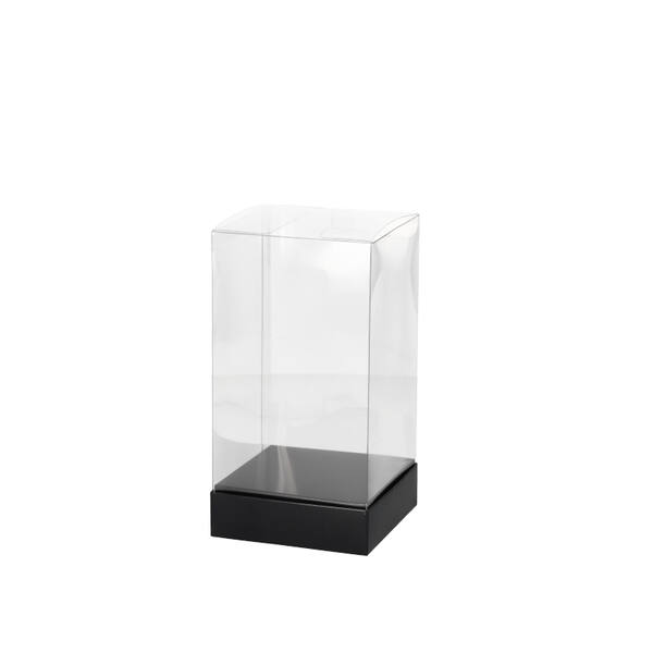 Presentatiebox transparant met bodem zwart 100x100x190 mm