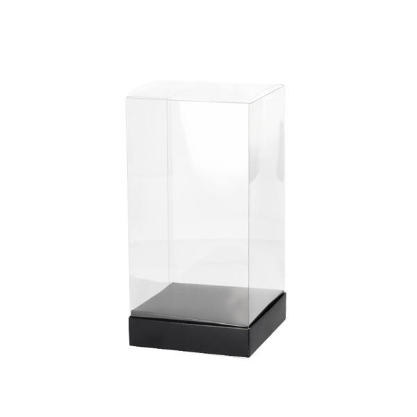 Presentatiebox transparant met bodem zwart 120x120x240 mm