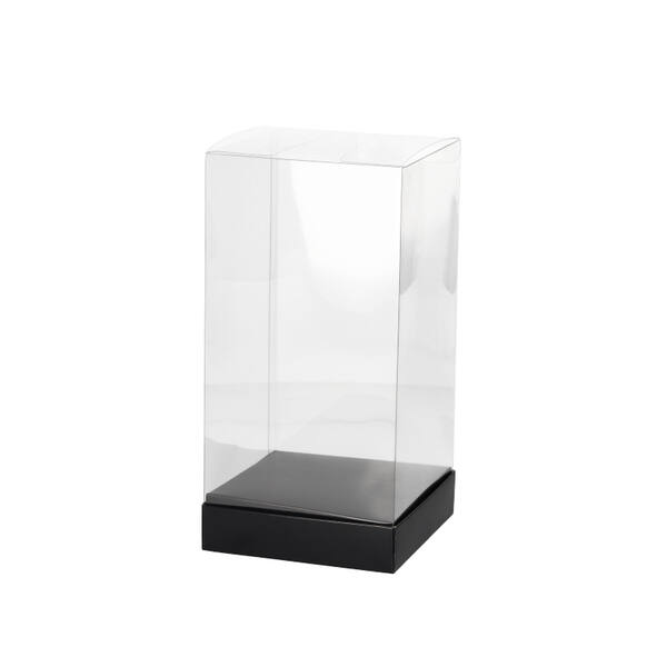 Presentatiebox transparant met bodem zwart 120x120x240 mm
