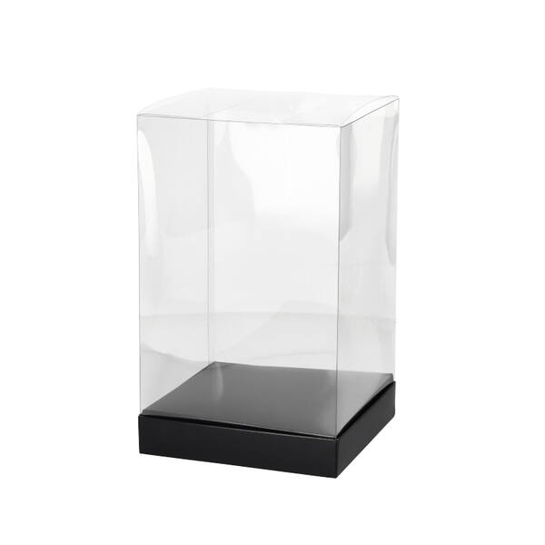 Presentatiebox transparant met bodem zwart 150x150x250 mm