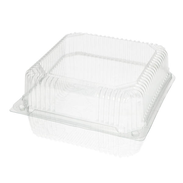 Blisters bodem en deksel PET 170x170x100 mm transparant