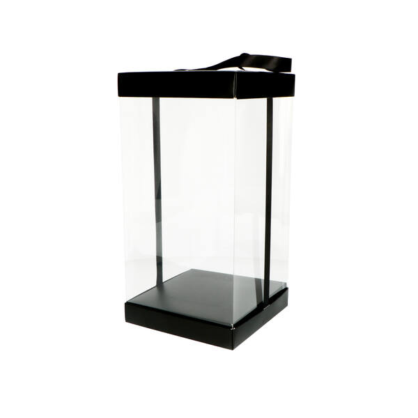 Presentatiebox 'Luxury' zwart 150x150x300 mm