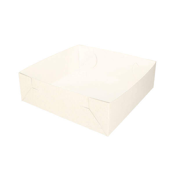 Verzenddozen bodem 290x290x90 mm