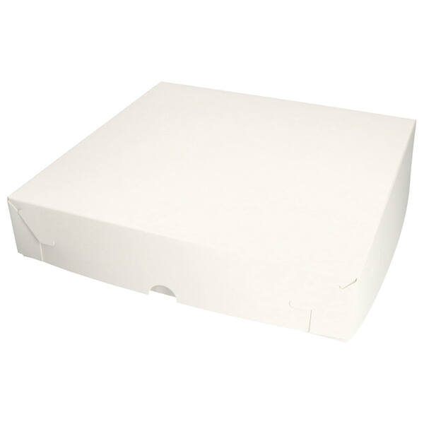 Vlaaidozen 300x300x60 mm