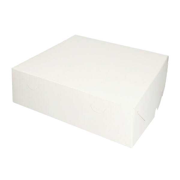 Verzenddozen 250x250x90 mm