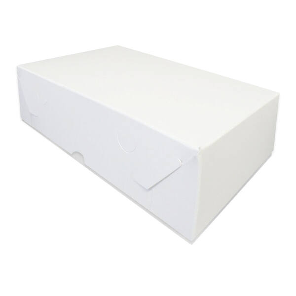 Vlaaidozen 300x160x80 mm